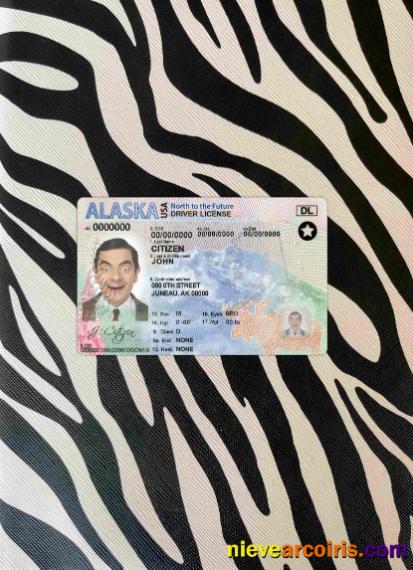 USA Alaska driving license photolook
